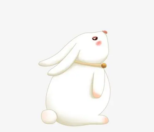 十二生肖所对应的守护本命佛是什么
