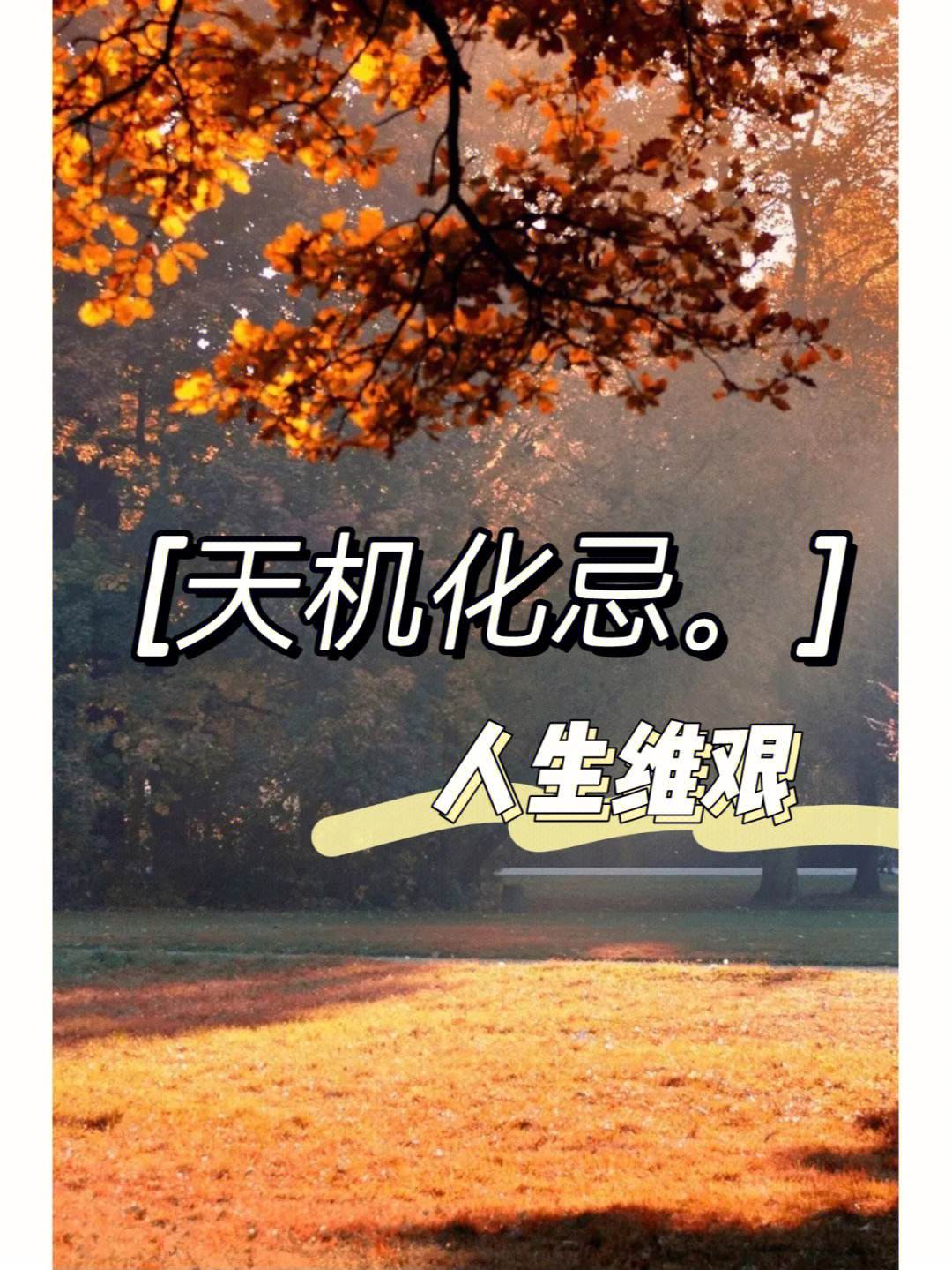 天机化忌是什么意思