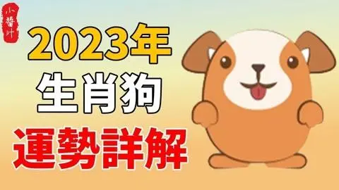 甲戌日柱2023年癸卯年运势