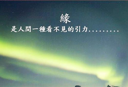 爱情是靠缘分吗