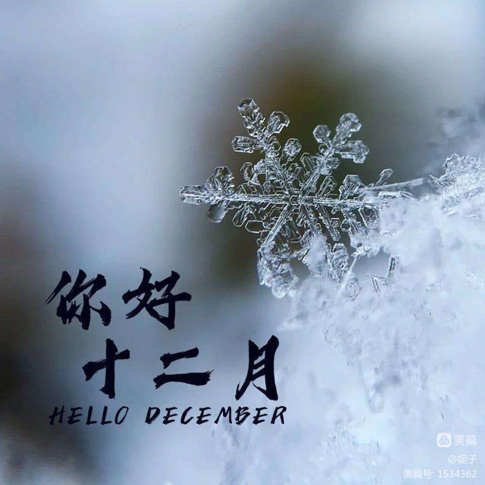 十二月指的是什么月