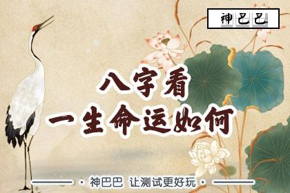八字6合的命运如何