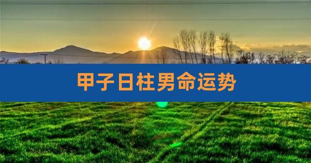 戊午日柱男命是好是坏