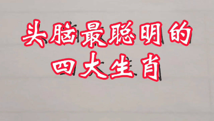 哪个生肖最聪明