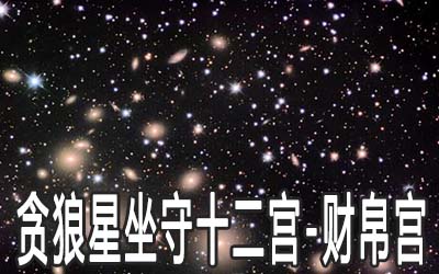 财帛宫贪狼机遇是什么意思