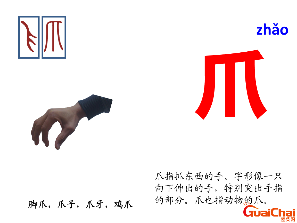 多音字爪念zhǎo和zhuǎ时有什么区别
