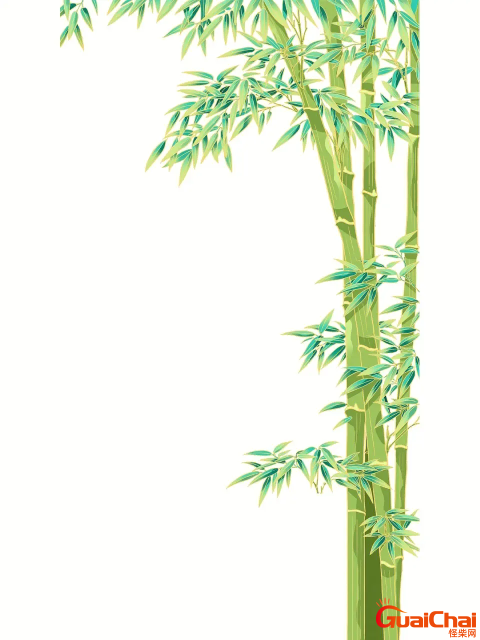 描写竹子的诗句古诗大全 描写竹子的优美句子