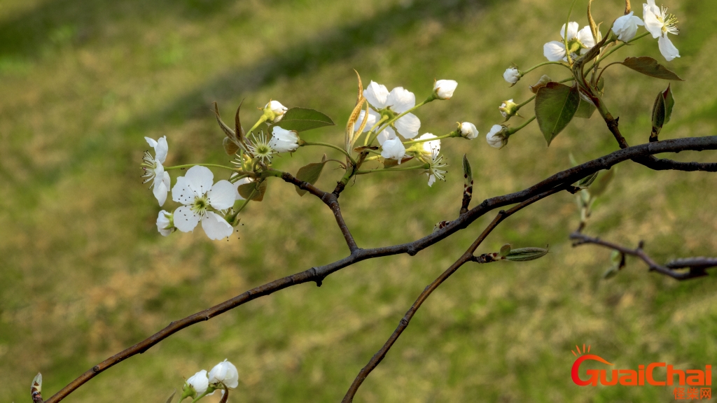 十首描写春分的诗词 描写春分时节的美景的诗词