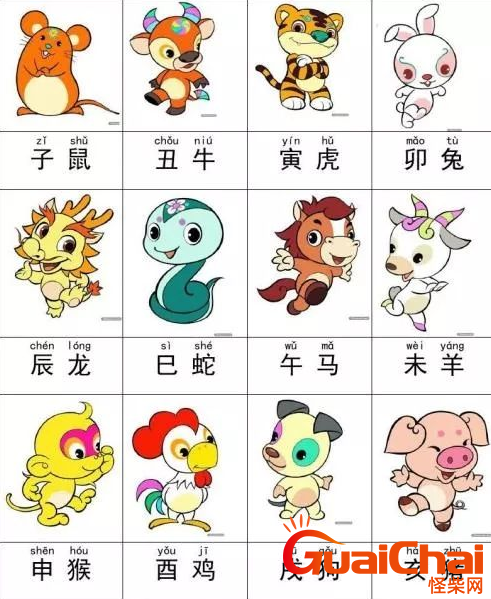 十二生肖排序、三和六合、相克全面解析
