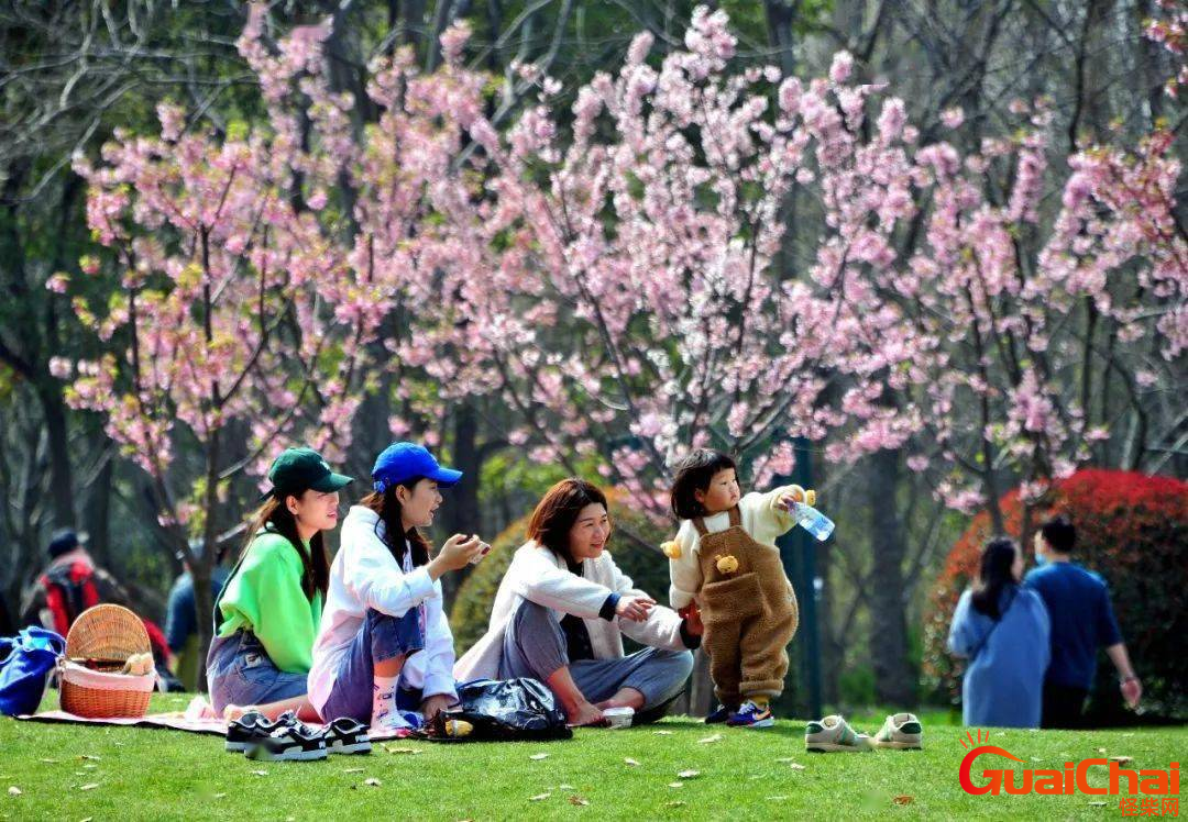 踏青是什么风俗？四个最有名的踏青地方