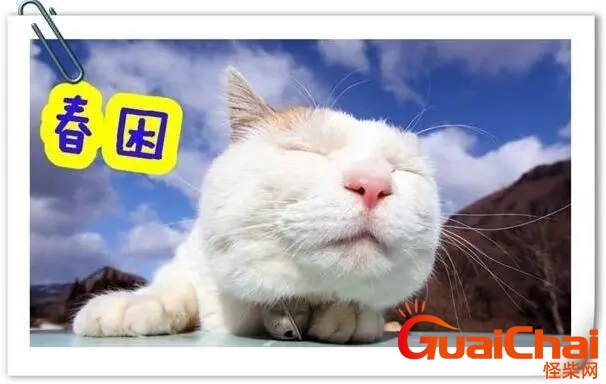 a8a4e80a2999d40a30a247310db79e3f_u=2683725033,2981068398&fm=253&fmt=auto&app=138&f=JPEG_w=606&h=384.webp