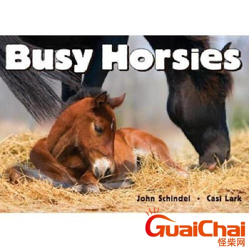 英文单词busy的中文意思是什么？