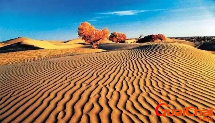 世界第一大沙漠在哪个国家世界第一大沙漠是什么
