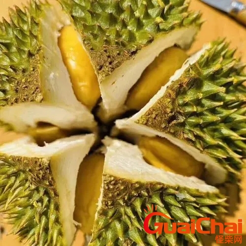 榴莲季节成熟月份榴莲季节几月份最好吃