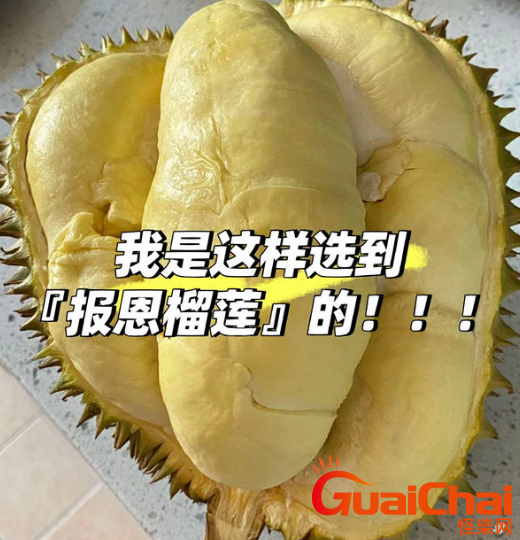 怎么挑选到报恩榴莲的秘诀 只告诉你一人速看