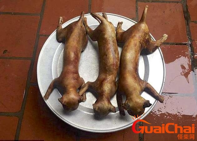 越南人吃猫肉是真的吗？越南人吃猫吗