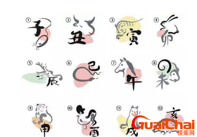 十二地支辰对应什么生肖？八字辰是什么？