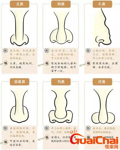鼻子大面相？鼻子大男人说明什么