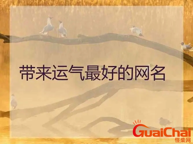 带来好运气财气的微信名 带来运气最好的网名两个字