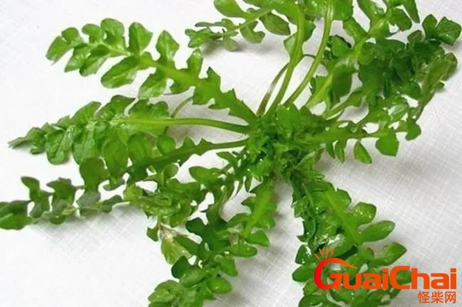 cd7c34adf53d360283f67881d097881f_u=2774455159,3906011658&fm=253&fmt=auto&app=138&f=JPEG_w=650&h=432.webp