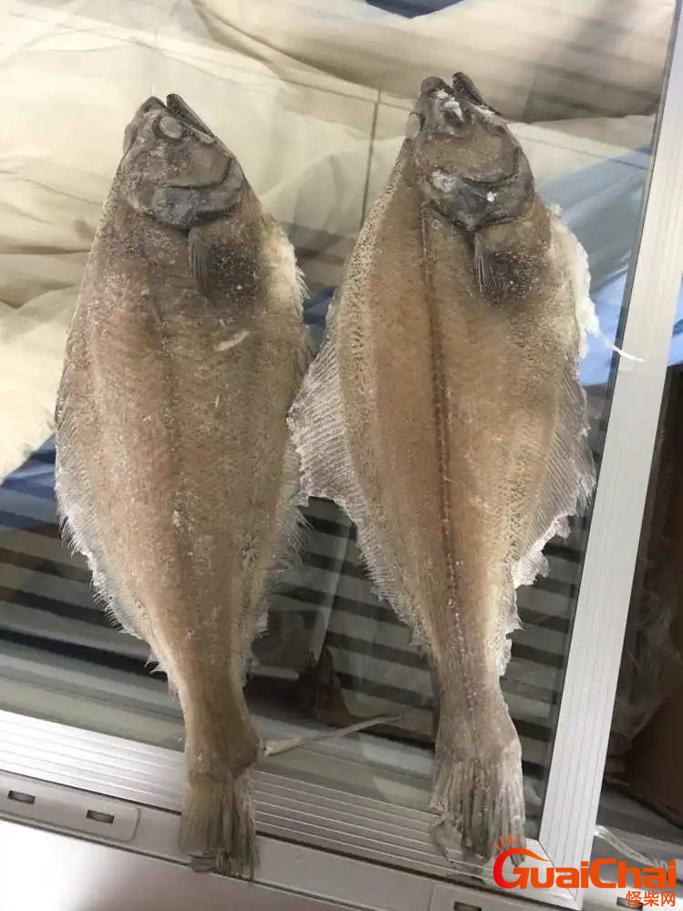 鲽鱼怎么做好吃又简单 鲽鱼图片