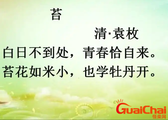 苔古诗的意思和注解 苔古诗翻译