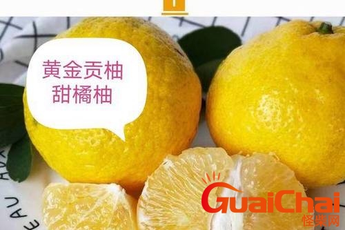 黄金贡柚哪里产的最好吃？黄金贡柚几月份成熟