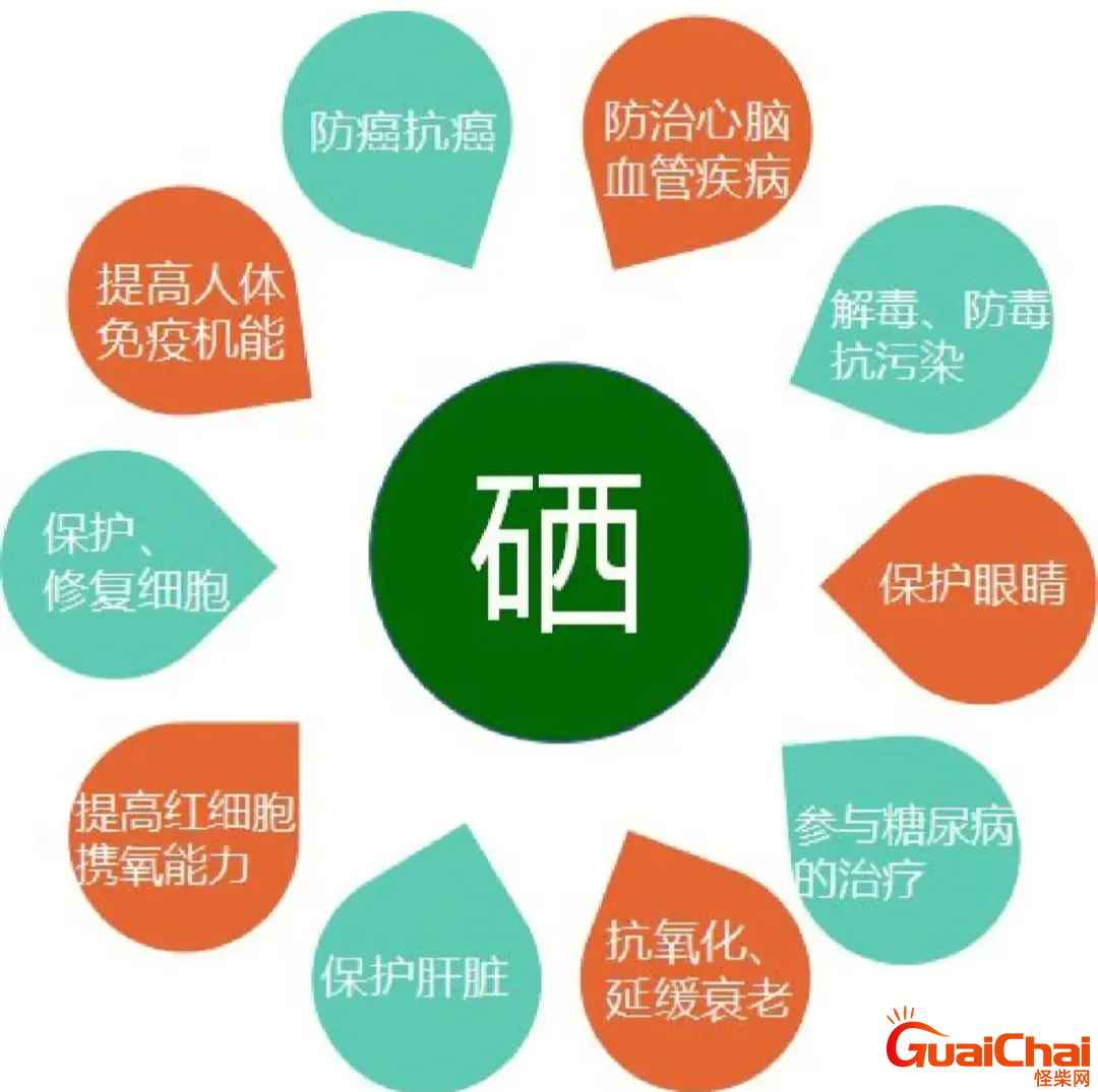 补硒的作用与功效图片 硒的作用与功效