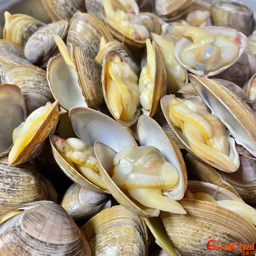 黄蚬子哪个部位不能吃图解？黄蚬子图片