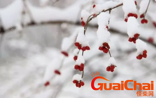 为什么要说瑞雪兆丰年？瑞雪兆丰年是什么？