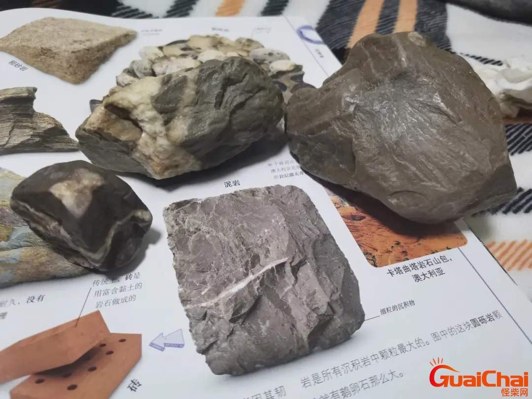 泥岩属于哪类岩石？泥岩图片