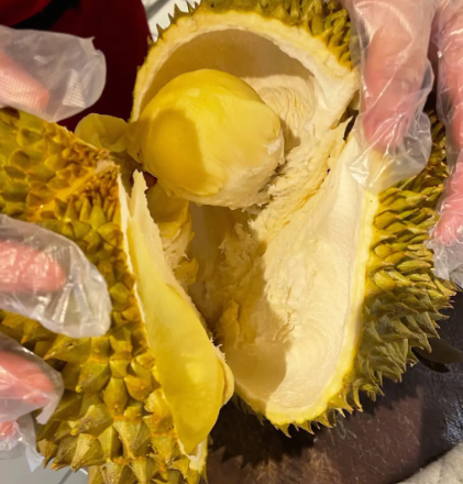 榴莲是热性还是凉性？如何吃榴莲不上火？