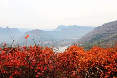 博山属于哪个城市