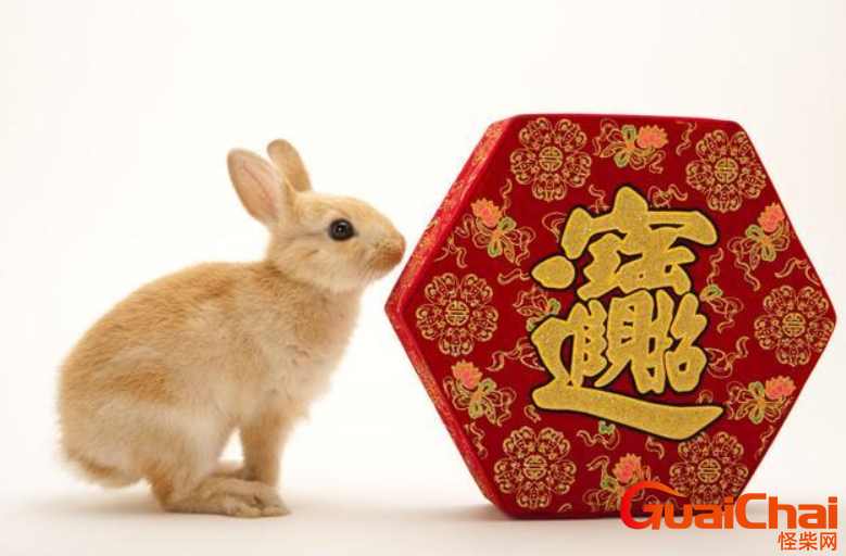 23岁属什么  运势如何呢