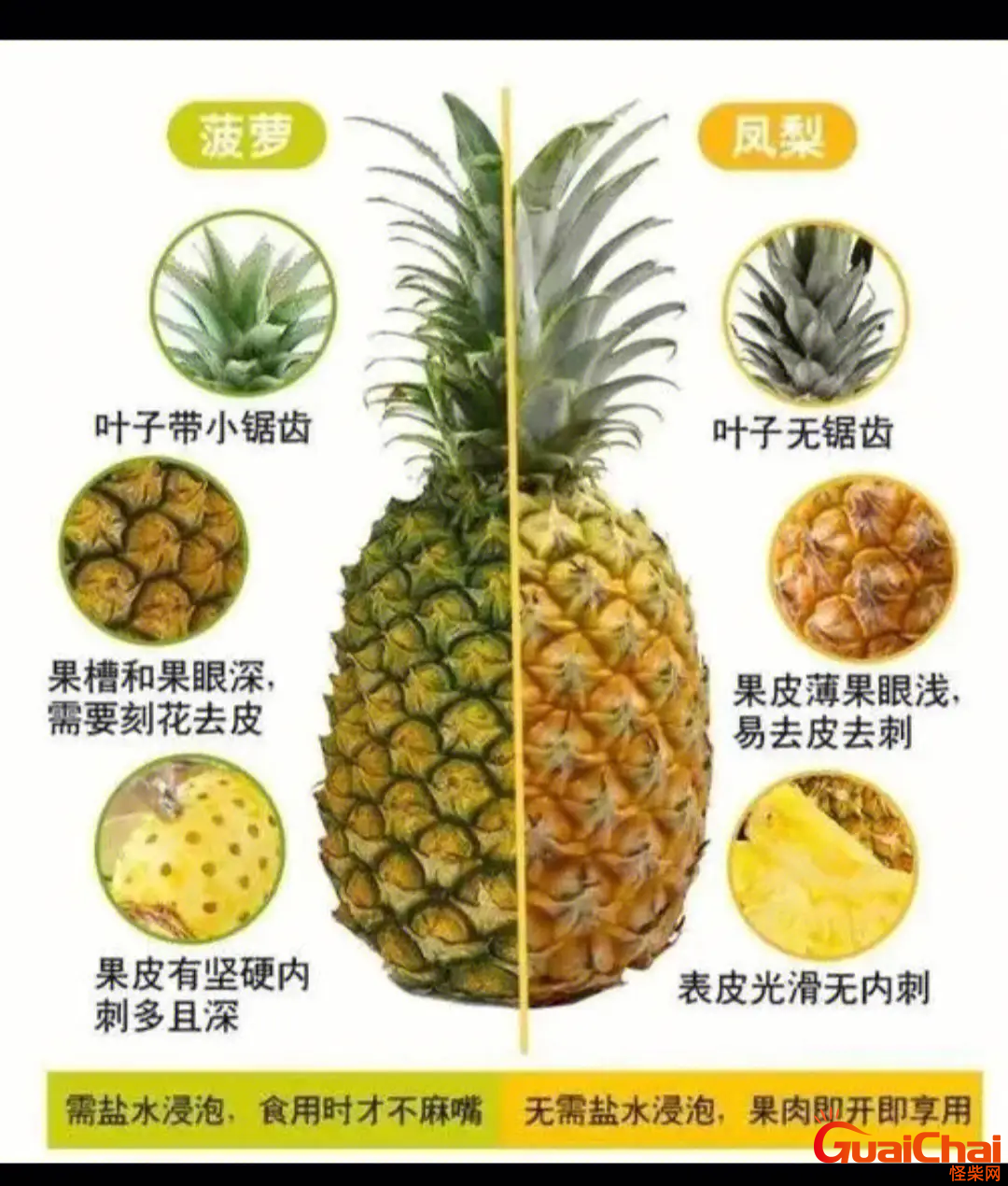 凤梨是菠萝吗有什么区别？凤梨是菠萝是一种水果吗