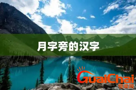 月字旁都和什么字关联  什么字都加月字旁