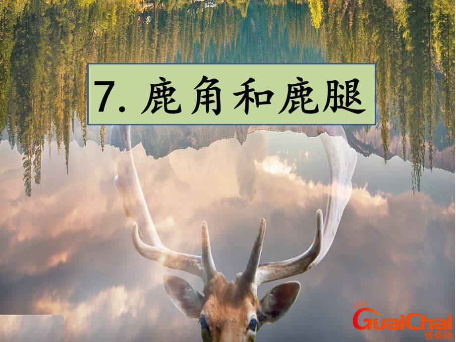 鹿角和鹿腿的道理  鹿角和鹿腿的主要内容是什么