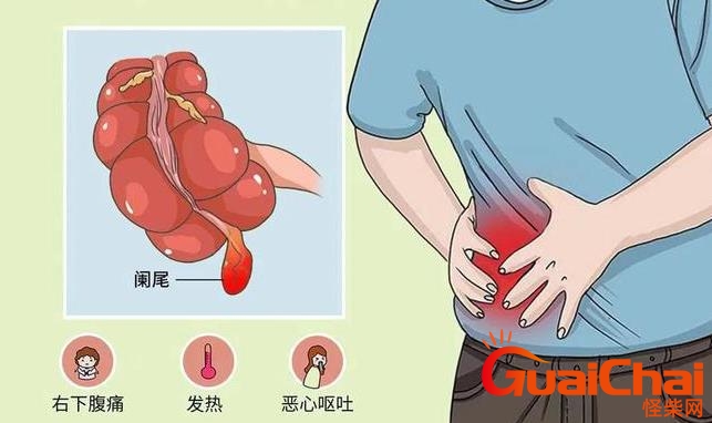 人体没用的五个器官，少了其中一个都无关紧要！