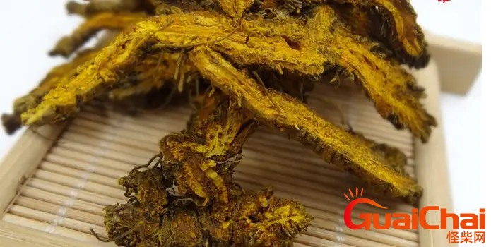 黄莲中草药副作用有哪些？黄莲中草药有哪些禁忌？