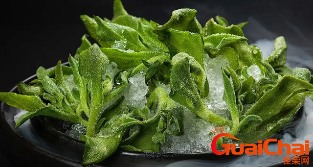 冰草是什么叫冰草   冰草是什么植物