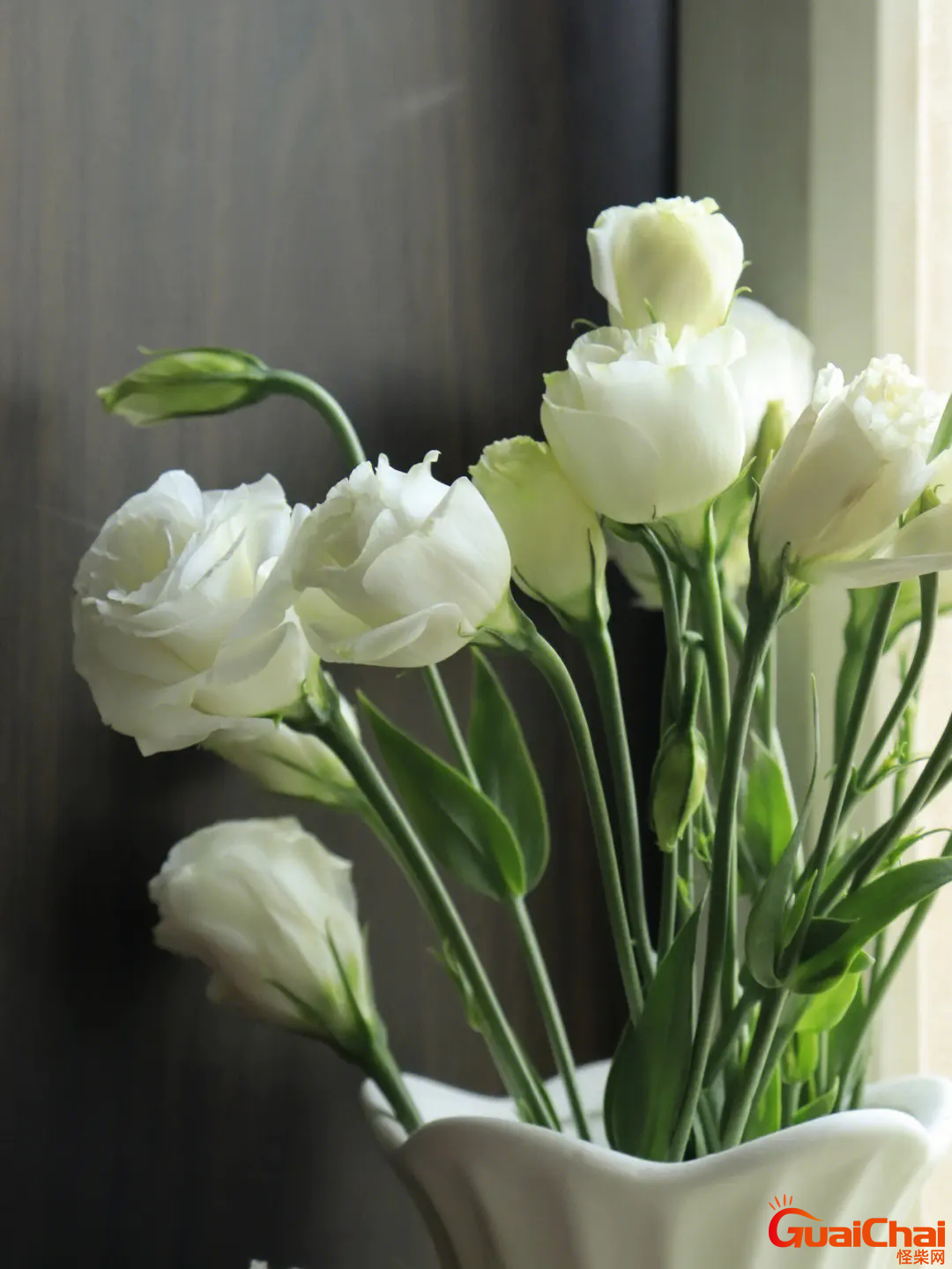 桔梗花什么时候开花？桔梗花别名
