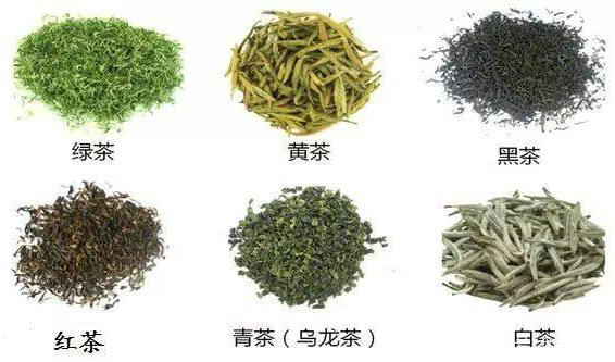 最好的茶叶品种有哪些？福建茶叶品种有哪些