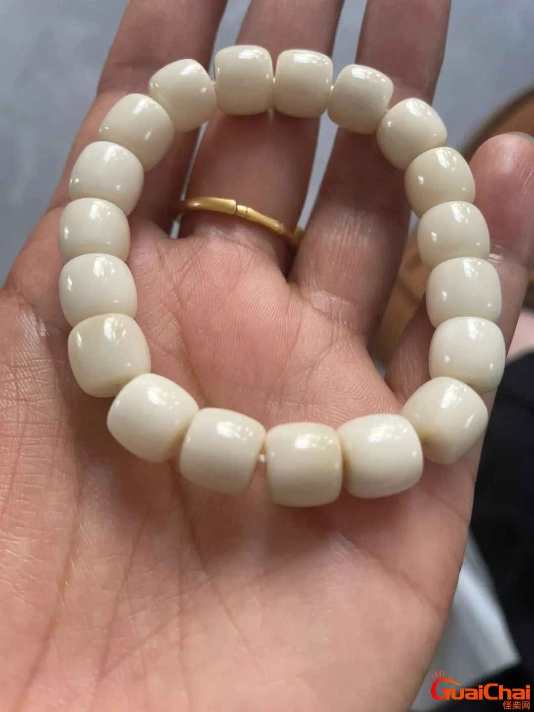 象牙果的功效与作用 象牙果怕水吗