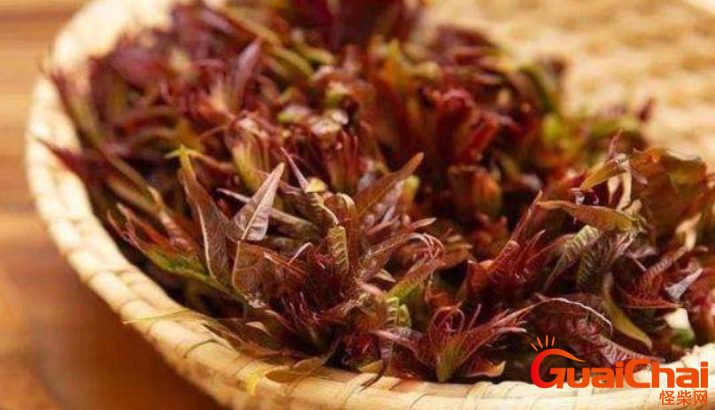 香椿有毒吗会吃死人吗？香椿如何安全食用?