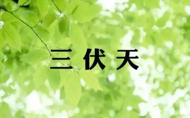 伏天怎么算一伏多少天？伏天吃什么