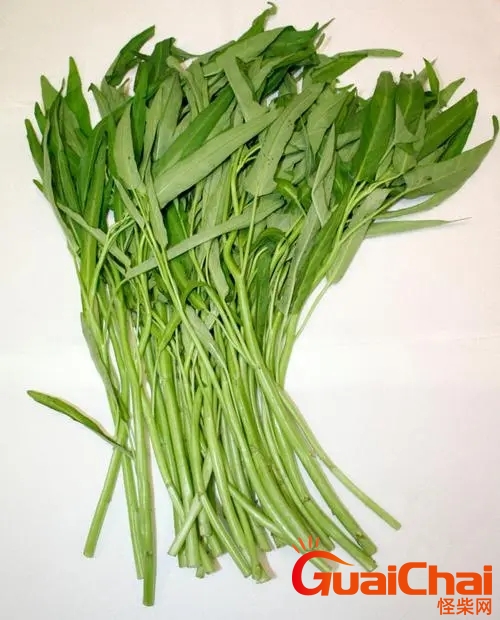 蕹菜是什么菜图片 蕹菜是空心菜吗