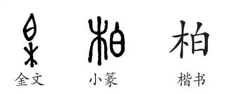 a7b34976c209e9957af6b9643504c290_u=1738626610,3371758757&fm=253&fmt=auto&app=138&f=JPEG_w=464&h=193.webp