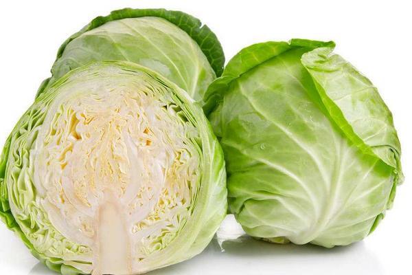 甘蓝和包菜的区别有哪些？甘蓝和包菜有什么区别吗？