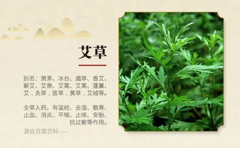 熏艾叶有什么功效与作用？熏艾叶有哪些功效？