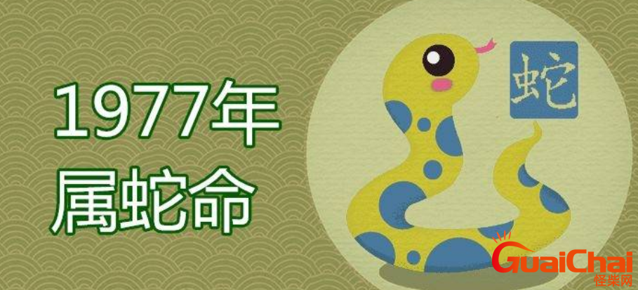 1977年出生的人属什么  他们的命运是何走向
